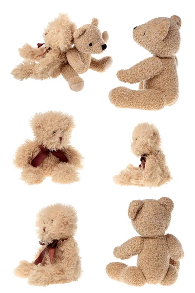Teddy bear set — Stock Photo, Image