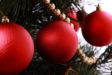 kırmızı topları Noel ağacı üzerinde