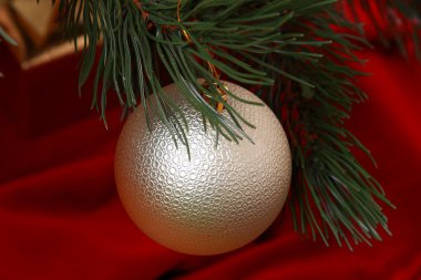 şirin altın top Noel ağacı üzerinde