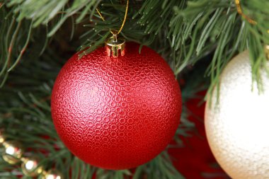 Red ball on Сhristmas tree