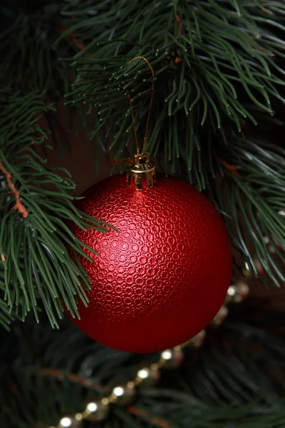 Red ball on christmas tree — Stock Photo, Image