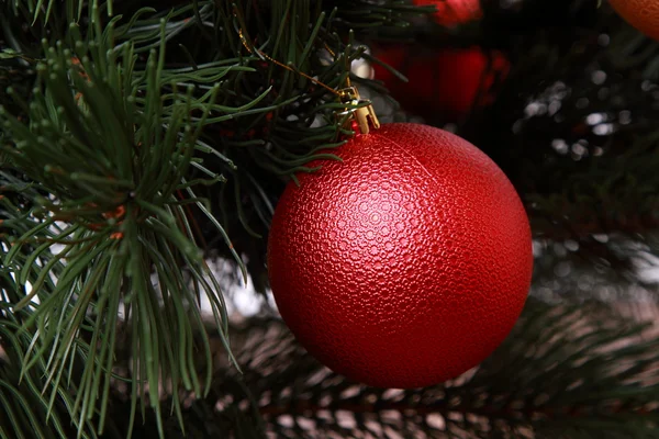 Rode bal op kerstboom — Stockfoto