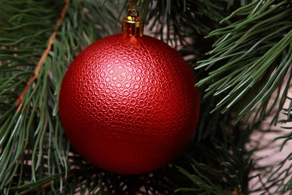 Röd boll på julgran — Stockfoto