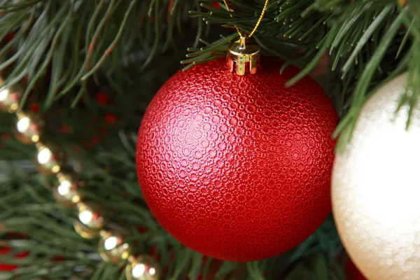 Red ball on Сhristmas tree — Stock fotografie