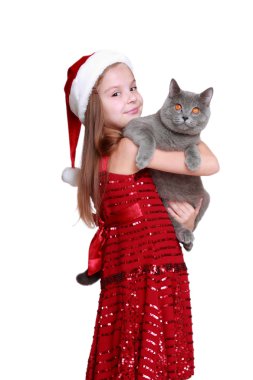 yeni kedi ile küçük kız