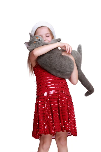 Маленька дівчинка зі своєю новою кішкою — стокове фото