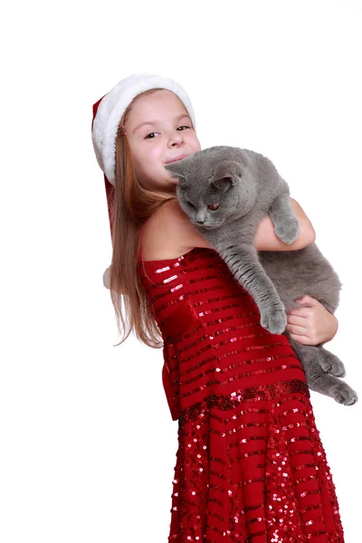 Little girl with her new cat — Stock Photo, Image