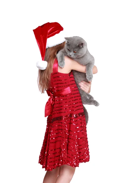 Κοριτσάκι με νέα γάτα της — Φωτογραφία Αρχείου