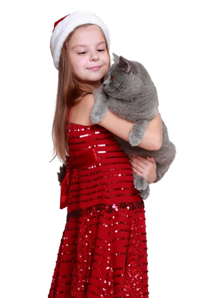 Dziewczynka z jej nowy kot — Zdjęcie stockowe