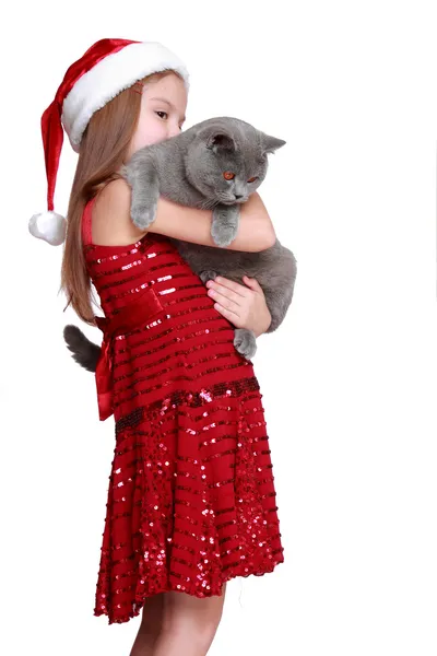 Little girl with her new cat — Stock Photo, Image