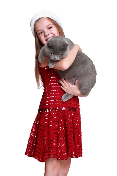 Little girl with her new cat — Stock Photo, Image