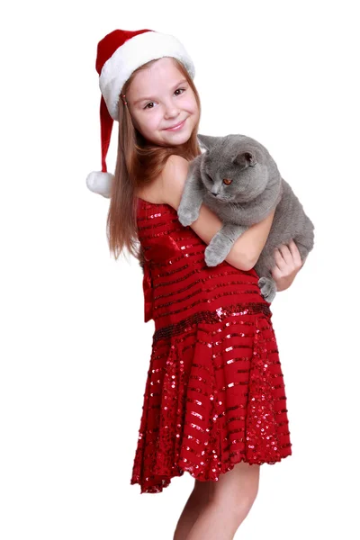 Yeni kedi ile küçük kız — Stok fotoğraf
