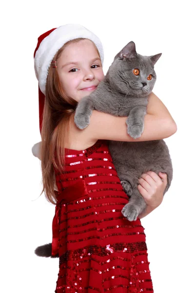 Niña con su nuevo gato — Foto de Stock