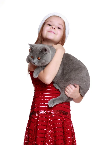 Niña con su nuevo gato — Foto de Stock