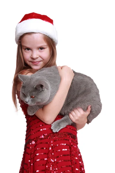 Menina com seu novo gato — Fotografia de Stock