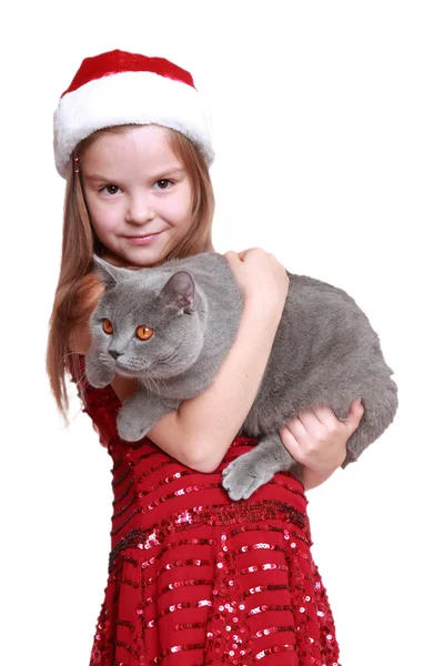 Little girl with her new cat — Stock Photo, Image