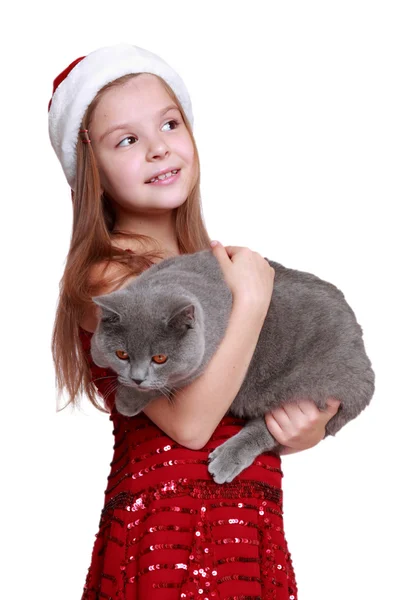 Lille jente med sin nye katt – stockfoto