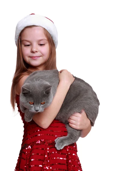 小女孩用她新的猫 — 图库照片