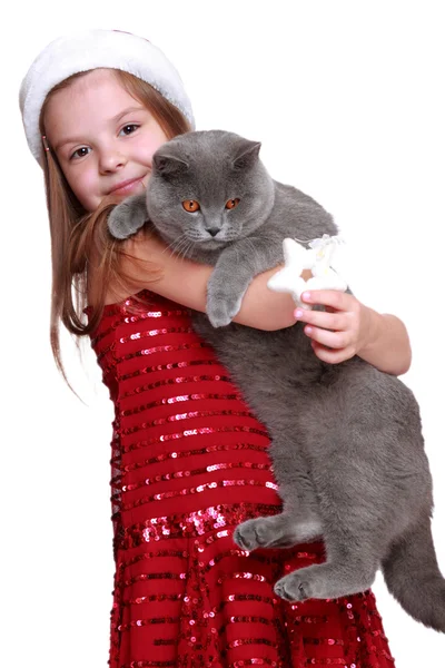 Little girl with her new cat — Stock Photo, Image