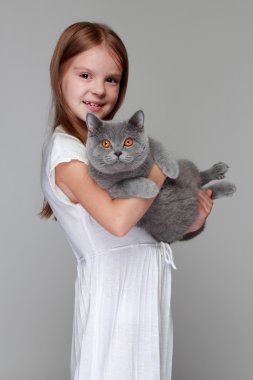 İngiliz bir kedi ile oynanan kız