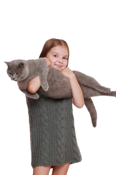 Fille joué avec un chat britannique — Photo