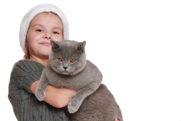 Young girl holding British cat — Stock Photo, Image