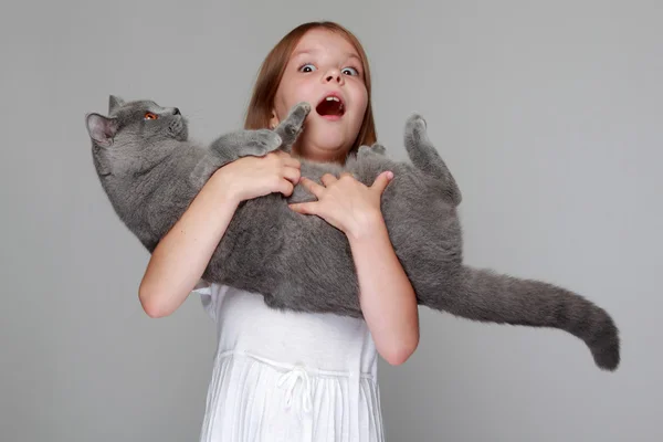 Fille joué avec un chat britannique — Photo