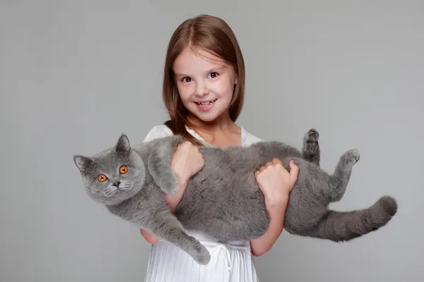 Mädchen spielte mit einer britischen Katze lizenzfreie Stockbilder