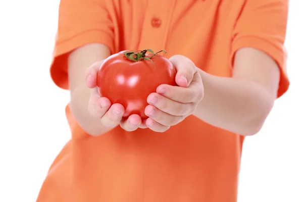 Dítě hospodářství rajče — Stock fotografie