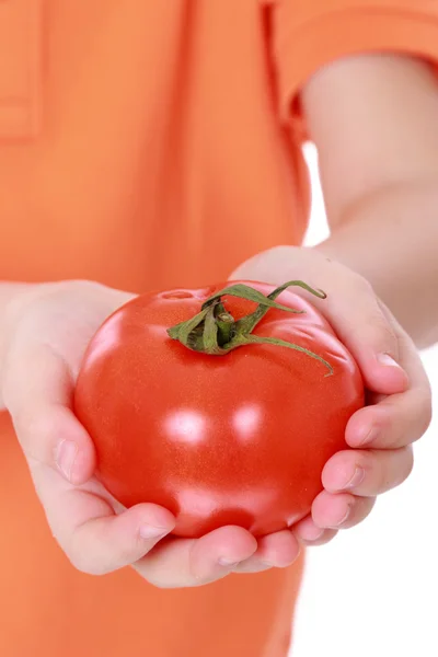 Ребенок держит помидор — стоковое фото
