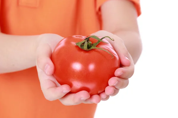 Ребенок держит помидор — стоковое фото