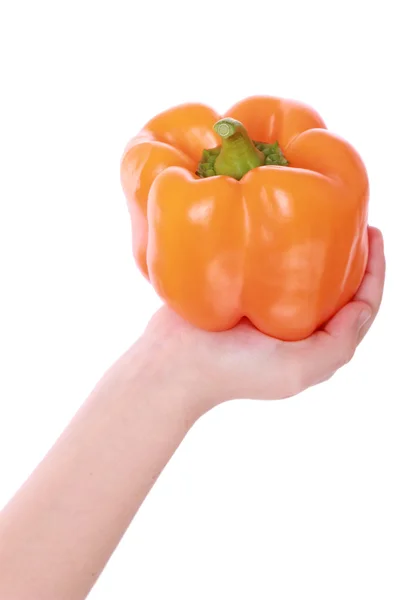 Orangen-Paprika in der Hand — Stockfoto