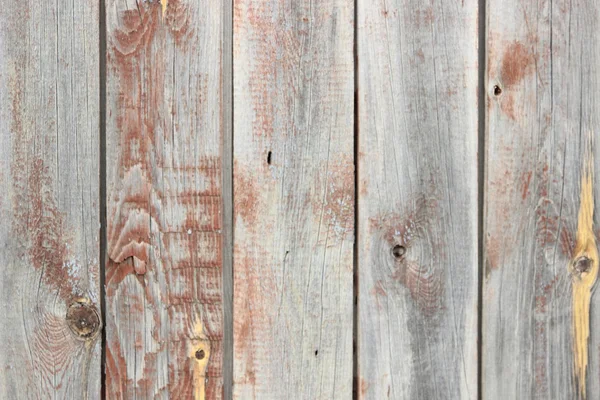 Дерев'яні стіни — стокове фото