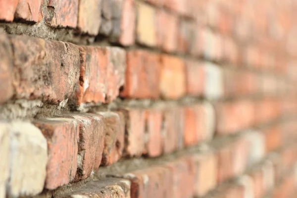 Brick wall texture — Stock Photo, Image