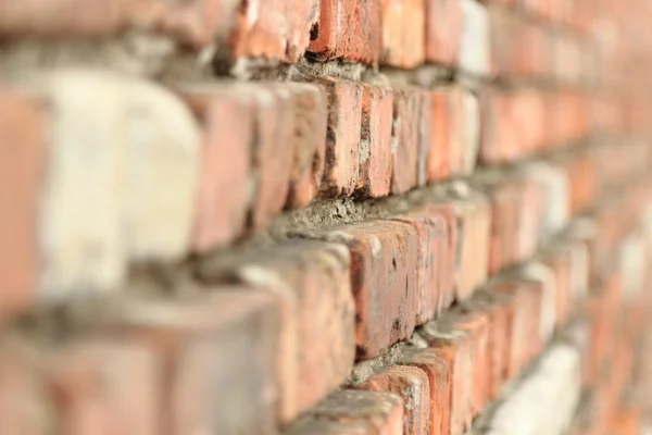 Brick wall texture — Stock Photo, Image