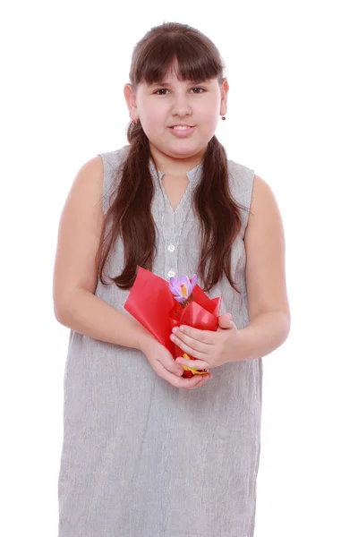 Pretty Girl Holding Crocus White Background — Stock Photo, Image