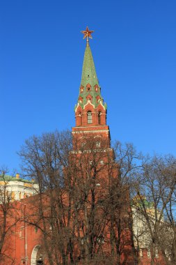 Moskova'daki Kremlin