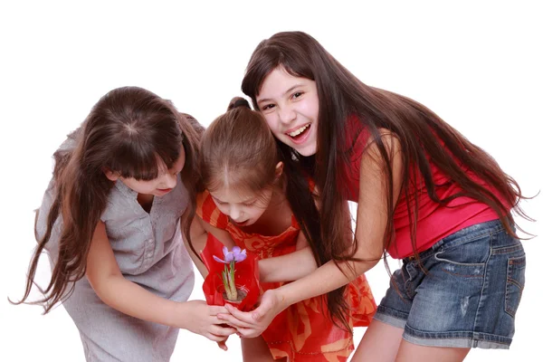 Meninas segurando flor de primavera no pote — Fotografia de Stock