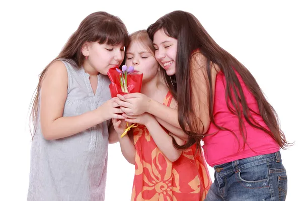 Girls holding spring flower in pot — Stock Photo, Image