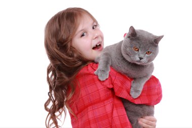 İngiliz kedi kız