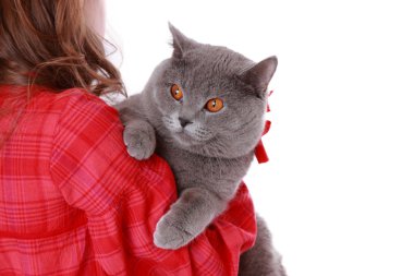 Kız holding İngiliz kedi