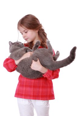 Kız holding İngiliz kedi