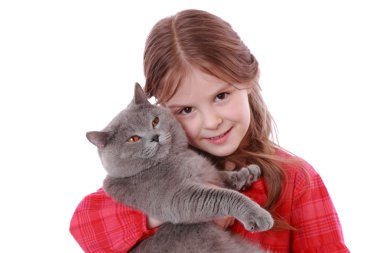Kız holding İngiliz kedi