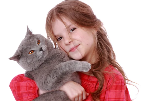 Menina segurando gato britânico — Fotografia de Stock
