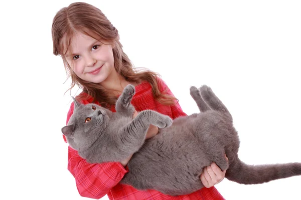 Kız holding İngiliz kedi — Stok fotoğraf