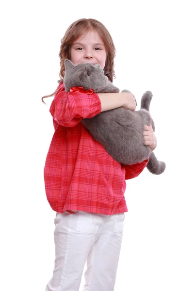 Little girl with a British cat — Stock Photo, Image