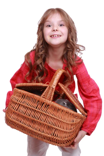 Dívka hospodářství kočka v košíku — Stock fotografie