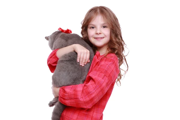 Menina segurando gato britânico — Fotografia de Stock