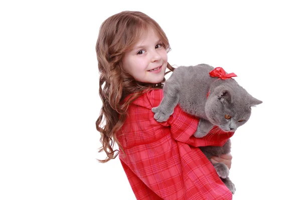 Little girl kissing British cat — Stock Photo, Image