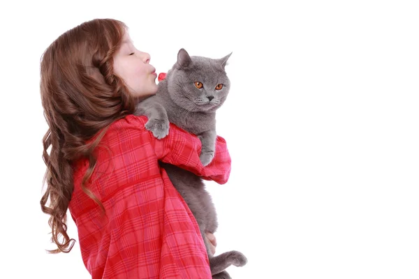 Little girl kissing British cat — Stock Photo, Image